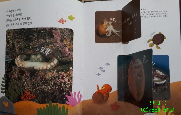 25년 놀라운자연 가격 개정판