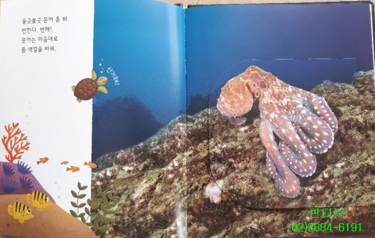 25년 놀라운자연 가격 개정판