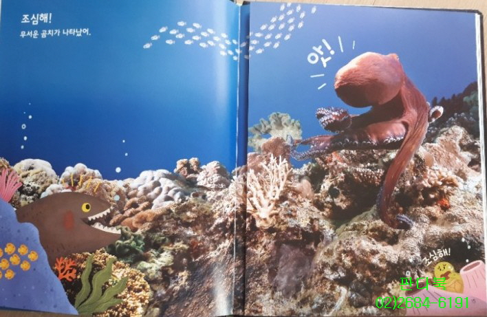 25년 놀라운자연 가격 개정판