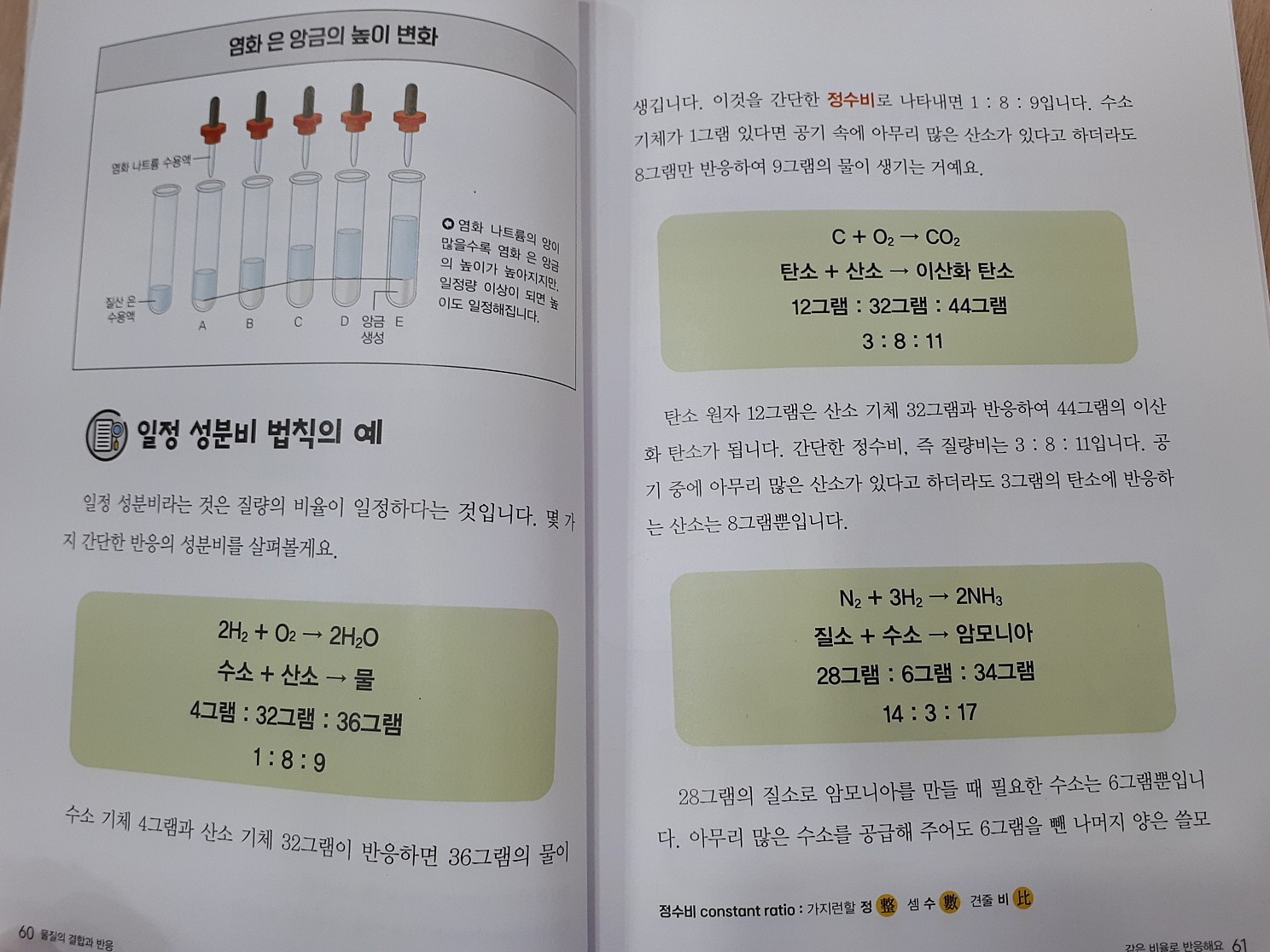 성우출판사 과학뒤집기 완성편 직영점