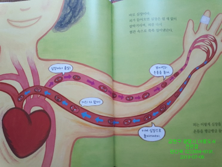 내친구 과학공룡 가격 문의 공식판매처